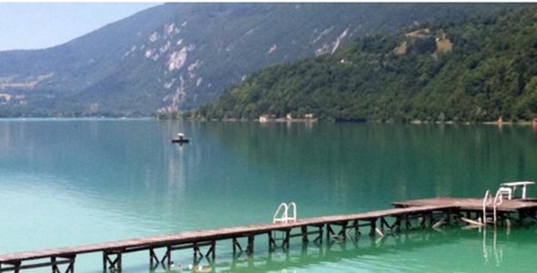 Отель Les Sirenes Lepin-le-Lac Экстерьер фото